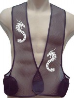 dragon13 front bk